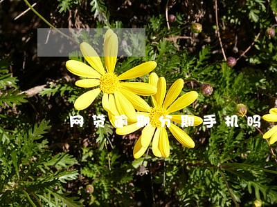 网贷逾期分期手机吗 网贷逾期分期手机吗