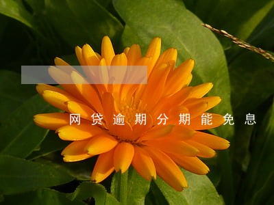 网贷逾期分期能免息 网贷逾期分期能免息