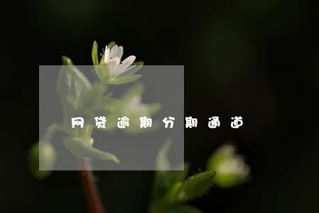 网贷逾期分期通道 网贷逾期分期通道