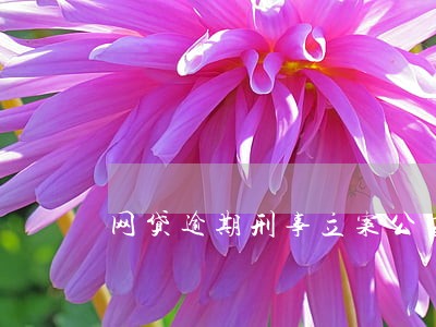 网贷逾期刑事立案公安局会受理吗 网贷逾期刑事立案公安局会受理吗
