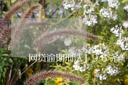 网贷逾期刑法196条 网贷逾期刑法196条