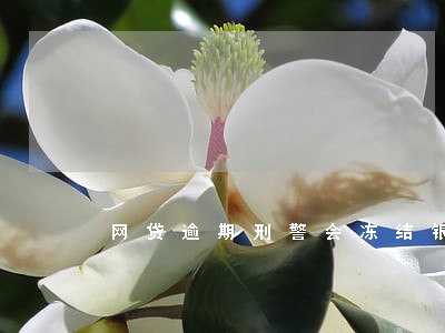 网贷逾期刑警会冻结银行卡吗 网贷逾期刑警会冻结银行卡吗