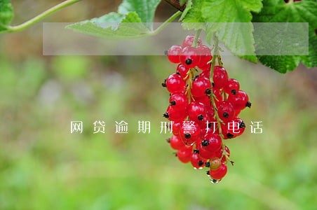 网贷逾期刑警打电话 网贷逾期刑警打电话