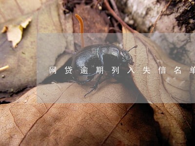 网贷逾期列入失信名单了