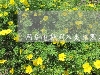 网贷逾期列入失信黑名单 网贷逾期列入失信黑名单