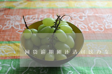网贷逾期刚还清可以办车贷吗