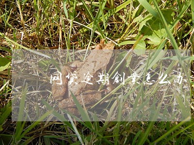 网贷逾期创业怎么办 网贷逾期创业怎么办
