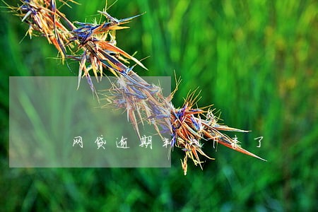 网贷逾期判决下来了 网贷逾期判决下来了