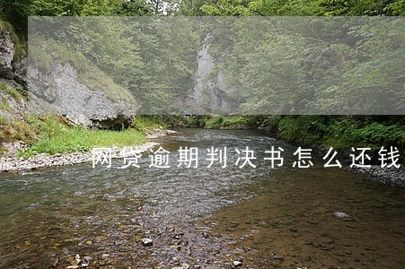 网贷逾期判决书怎么还钱 网贷逾期判决书怎么还钱