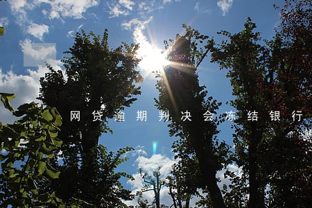 网贷逾期判决会冻结银行卡