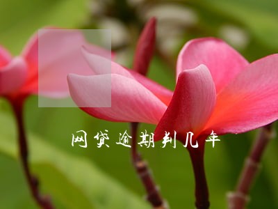 网贷逾期判几年 网贷逾期判几年