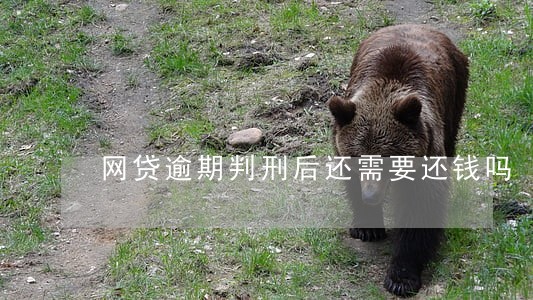 网贷逾期判刑后还需要还钱吗 网贷逾期判刑后还需要还钱吗