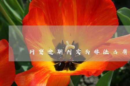 网贷逾期判定为非法占有 网贷逾期判定为非法占有