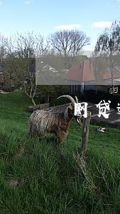 网贷逾期利息不想还可以减免吗 网贷逾期利息不想还可以减免吗