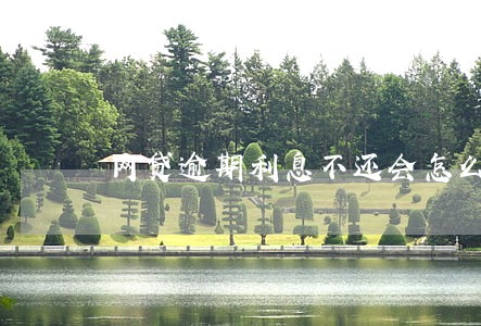 网贷逾期利息不还会怎么样 网贷逾期利息不还会怎么样
