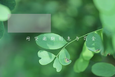 网贷逾期利息与罚金