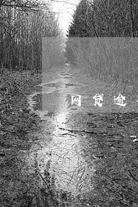 网贷逾期利息会有多高 网贷逾期利息会有多高