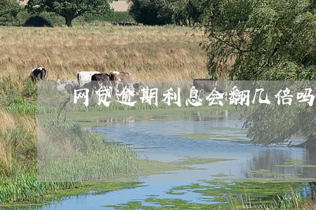 网贷逾期利息会翻几倍吗 网贷逾期利息会翻几倍吗
