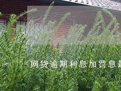 网贷逾期利息加罚息最高多少 网贷逾期利息加罚息最高多少