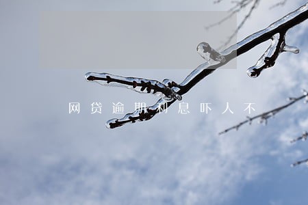 网贷逾期利息吓人不 网贷逾期利息吓人不