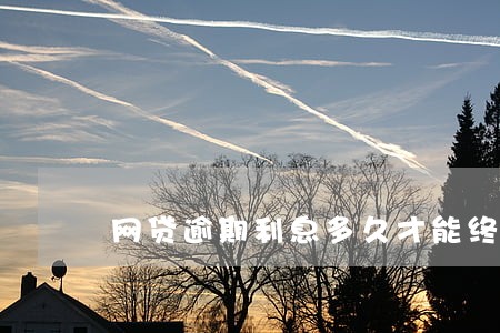 网贷逾期利息多久才能终止 网贷逾期利息多久才能终止