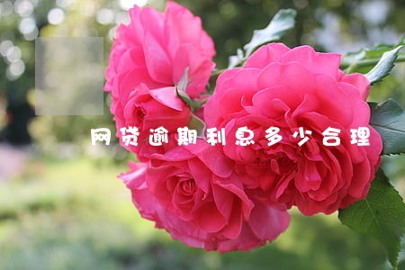 网贷逾期利息多少合理 网贷逾期利息多少合理