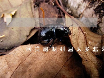网贷逾期利息太多怎么办 网贷逾期利息太多怎么办