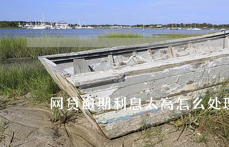 网贷逾期利息太高怎么处理 网贷逾期利息太高怎么处理