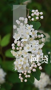 网贷逾期利息太高怎么投诉 网贷逾期利息太高怎么投诉