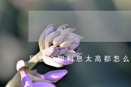 网贷逾期利息太高都怎么还款 网贷逾期利息太高都怎么还款