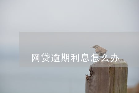 网贷逾期利息怎么办 网贷逾期利息怎么办