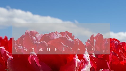 网贷逾期利息怎么算的 网贷逾期利息怎么算的