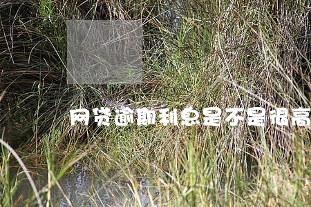 网贷逾期利息是不是很高 网贷逾期利息是不是很高