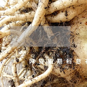 网贷逾期利息有限制没 网贷逾期利息有限制没