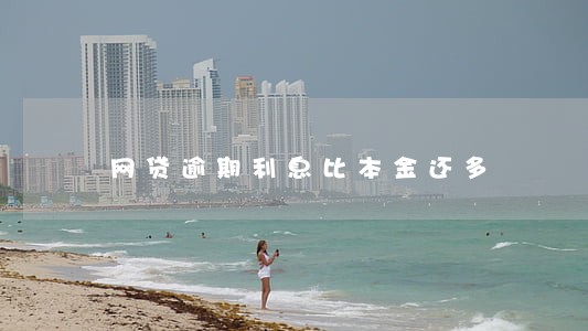 网贷逾期利息比本金还多 网贷逾期利息比本金还多