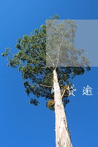 网贷逾期利息比本金还多吗 网贷逾期利息比本金还多吗