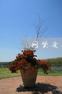 网贷逾期利息比本金高 网贷逾期利息比本金高
