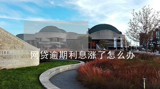 网贷逾期利息涨了怎么办 网贷逾期利息涨了怎么办