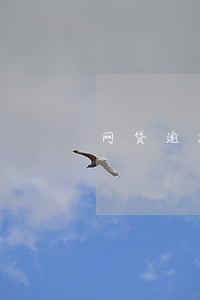 网贷逾期利息滚了3倍 网贷逾期利息滚了3倍