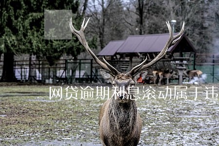 网贷逾期利息滚动属于违法吗