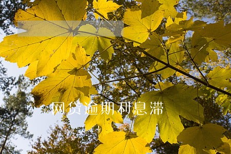 网贷逾期利息滞 网贷逾期利息滞