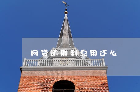 网贷逾期利息用还么 网贷逾期利息用还么