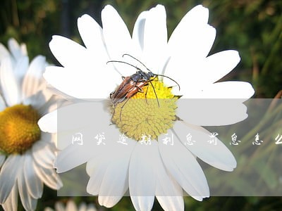 网贷逾期利息罚息怎么算 网贷逾期利息罚息怎么算