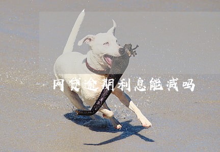 网贷逾期利息能减吗 网贷逾期利息能减吗