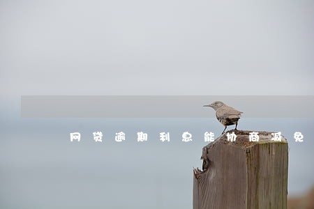 网贷逾期利息能协商减免吗 网贷逾期利息能协商减免吗