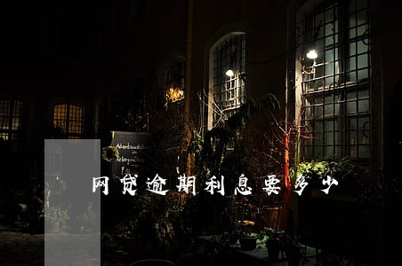 网贷逾期利息要多少 网贷逾期利息要多少