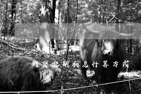 网贷逾期利息计算方式 网贷逾期利息计算方式