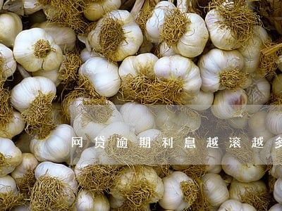网贷逾期利息越滚越多 网贷逾期利息越滚越多