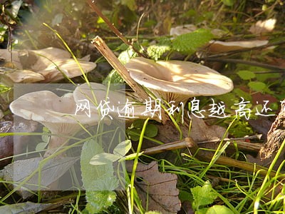 网贷逾期利息越高还不上怎么办 网贷逾期利息越高还不上怎么办