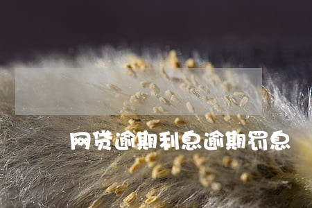网贷逾期利息逾期罚息 网贷逾期利息逾期罚息